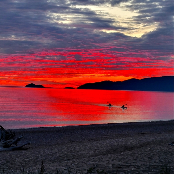 Meet your Posher, Tracey - Picture 1 of 1